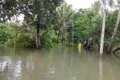 Chentrappinni-East-Flood-00061